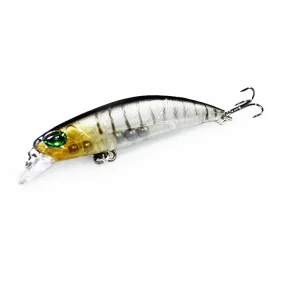 Leurre Dur Crankbait Minnow Carnassier