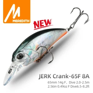 Leurre dur Crankbait
